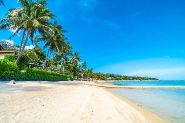 Güzel tropikal plaj deniz ve kum mavi gökyüzü ve beyaz bulut seyahat ve tatil için Hindistan cevizi hurma ağacı ile