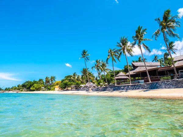 Beautiful Tropical Beach Sea Coconut Palm Tree Travel Vacation — Stock Photo, Image