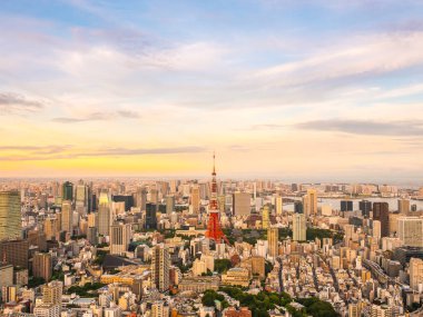 Japonya'da günbatımı zaman şehirde bina mimari ve tokyo kule güzel havadan görünümü