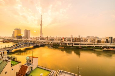 Tokyo city tokyo gökyüzü ağaca gündoğumu Japonya ile bina güzel mimari