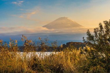 Dağ fuji akçaağaç yaprağı ağaç göl günbatımı zaman Yamanashi Japonya sonbahar sezonu ile güzel manzara