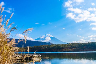 Güzel manzara dağ fuji göl Yamanashi Japonya akçaağaç ağaç yaprak ile