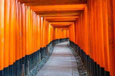 Güzel fushimi Inari tapınak tapınak Kyoto Japonya'da