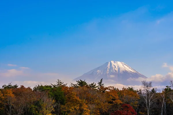 Prachtige Landschap Van Berg Fuji Met Esdoorn Blad Rond Lake — Stockfoto