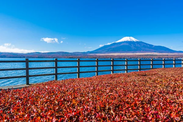 Bellissimo Paesaggio Fuji Montagna Intorno Lago Yamanakako Giappone — Foto Stock