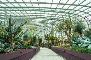 Çiçek kubbe Bahçe ve sera orman landmark Singapur City seyahat için bina güzel mimari