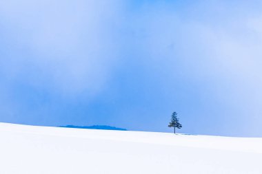 Güzel açık doğa manzara ve kış Kar sezonu kopya alanı ile Noel ağacı