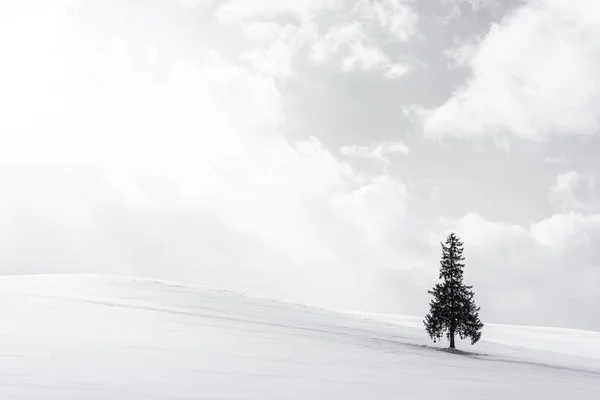 空と雲と雪の冬の天気シーズンで単独で人工クリスマス ツリーと美しい屋外の自然風景 — ストック写真