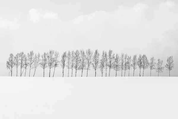 Gyönyörű Szabadtéri Természeti Táj Ága Téli Szezonban Hokkaido Japán Fekete — Stock Fotó