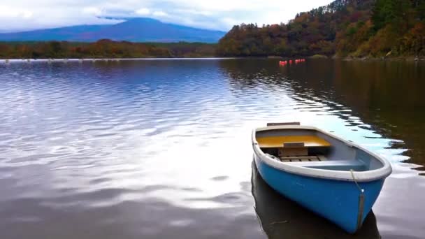 Imágenes Escénicas Hermoso Lago Día Soleado — Vídeo de stock