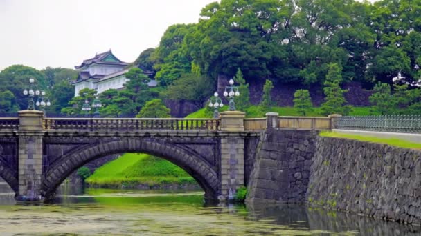Живописные Кадры Красивой Традиционной Японской Пагоды — стоковое видео