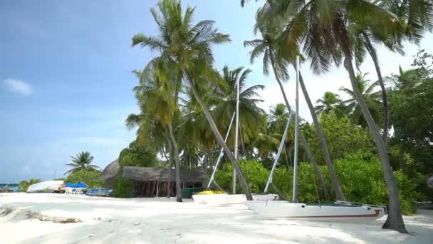 Rustige Beelden Van Prachtige Golvende Zee — Stockvideo