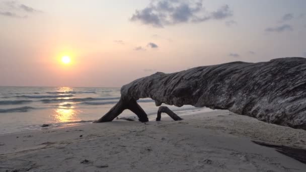 Ruhige Aufnahmen Von Wunderschönem Welligem Meer Bei Sonnenuntergang — Stockvideo