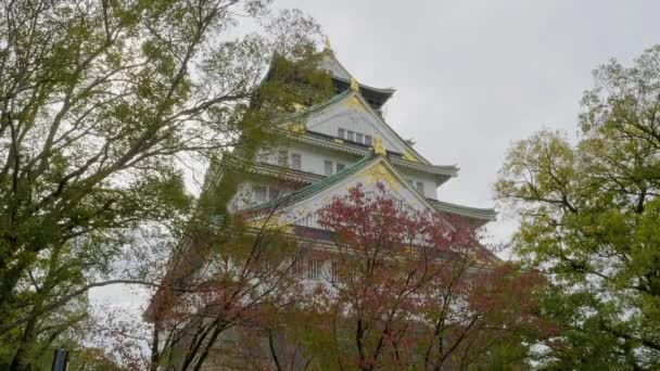 美しい伝統的な日本の塔の風光明媚な映像 — ストック動画