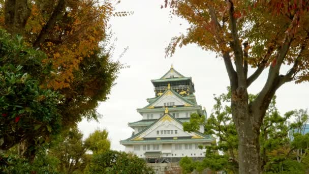 Vyhlídkové Záběry Nádherné Tradiční Japonské Pagody — Stock video