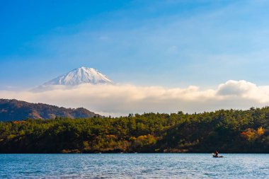 Dağ fuji ile akçaağaç yaprağı ağacın etrafında güzel manzara