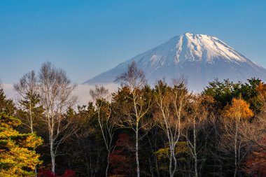 Dağ fuji ile akçaağaç yaprağı ağacın etrafında güzel manzara