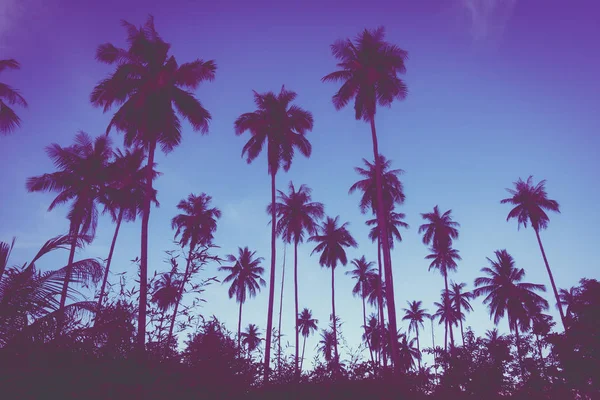 Krásné venkovní pohled s tropické kokosové palmy na sk — Stock fotografie