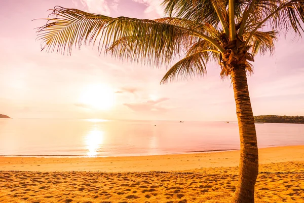 Bei Sonnenuntergang am tropischen Strand und Meer mit Kokospalmen — Stockfoto