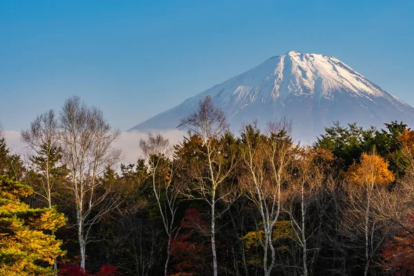 Beautiful landscape of mountain fuji with maple leaf tree around — Stock Photo, Image