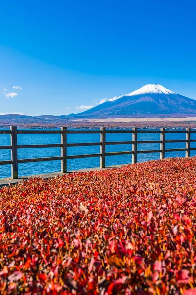 Schöne Landschaft des Berg-Fuji um den Yamanakako-See — Stockfoto