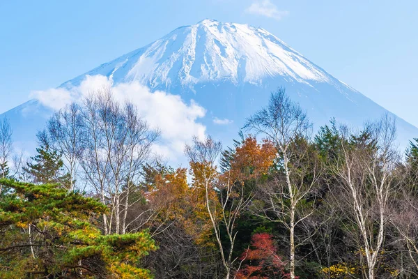 Bellissimo paesaggio di montagna fuji con acero foglia intorno — Foto Stock