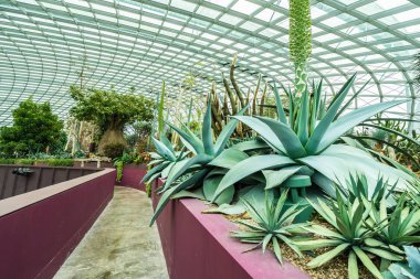 Çiçek kubbe Bahçesi ve greenhous bina güzel mimari