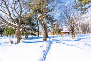 Kar kış sezonu ağacında ile güzel manzara