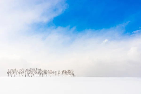 Prachtige buiten natuur landschap met de vertakking van de beslissingsstructuur in groep — Stockfoto