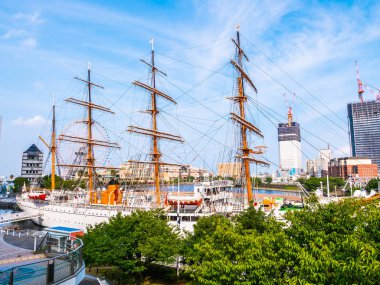 Yokohama Japonya - 25 Temmuz 2018: Güzel Nippon-maru bir yelken 