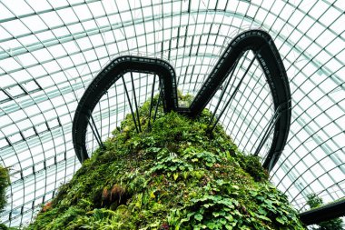 Çiçek kubbe Bahçesi ve greenhous bina güzel mimari