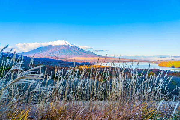 山中湖や山中湖で美しい富士の山 — ストック写真