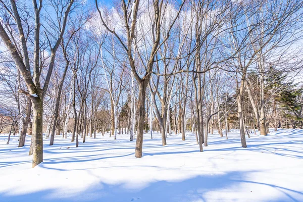 Beautiful landscape with tree in snow winter season — Stock Photo, Image