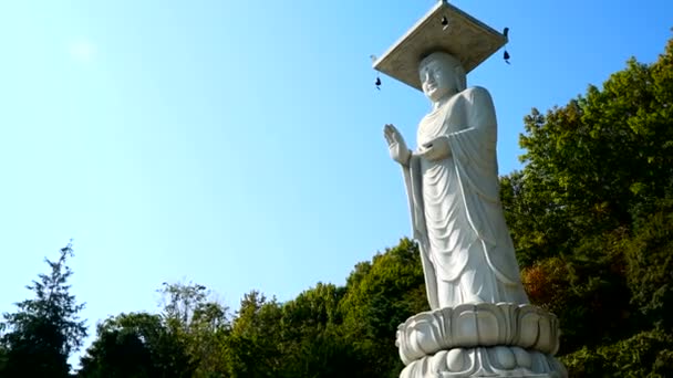 Bongeunsa Tapınağındaki Güzel Buda Heykeli Nin Görüntüleri — Stok video