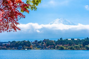 Dağ fuji ile akçaağaç yaprağı ağacın etrafında güzel manzara