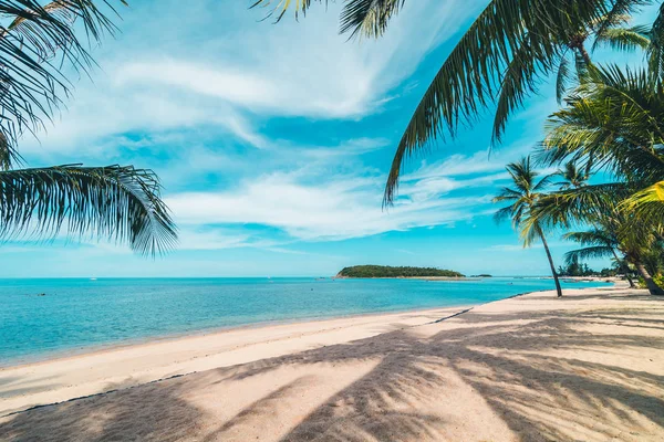 Bella spiaggia tropicale mare e sabbia con palma da cocco su — Foto Stock