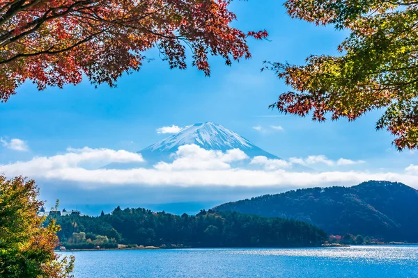 Красивий краєвид гірських фудзі з кленовим листям дерева навколо — стокове фото