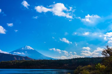 Dağ fuji ile akçaağaç yaprağı ağacın etrafında güzel manzara