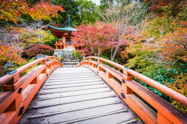 Güzel Daigoji Tapınağı ile renkli ağaç ve yaprak sonbahar s