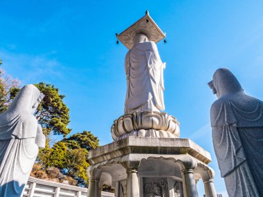 Güzel Budizm heykel Bongeunsa Tapınak