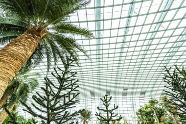 Çiçek kubbe Bahçesi ve greenhous bina güzel mimari