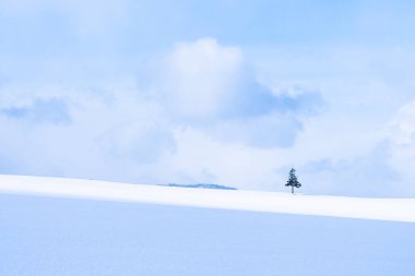 Güzel açık doğa manzara ile Noel ağacı kışın