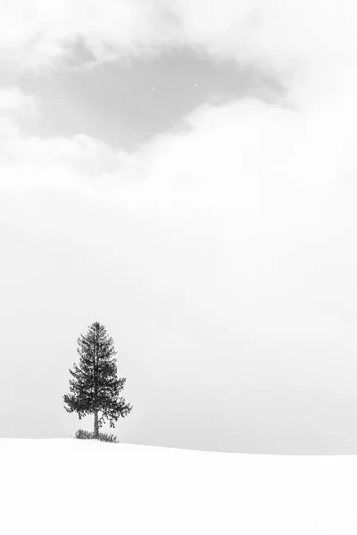 Beautiful landscape with lonely tree in snow winter season — Stock Photo, Image