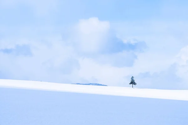 Hermoso paisaje natural al aire libre con árbol de Navidad en invierno — Foto de Stock