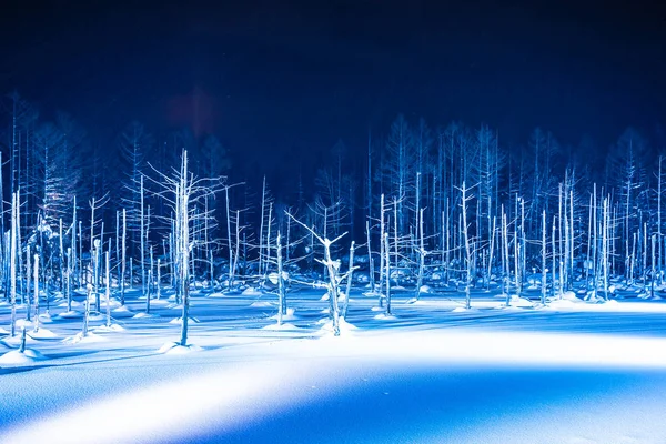 Bellissimo paesaggio esterno con laghetto blu fiume di notte con l — Foto Stock