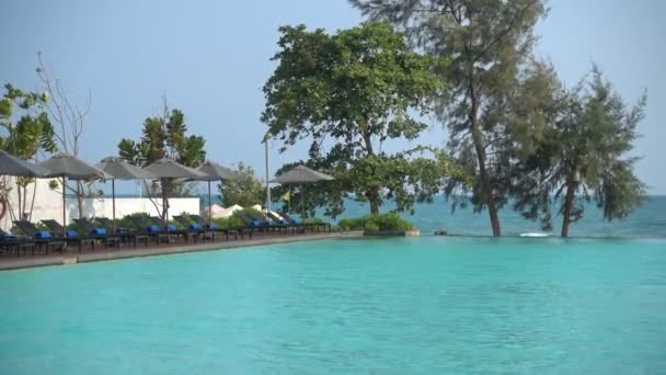 度假村游泳池的风景画面 — 图库视频影像