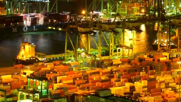 Timelapse Beelden Van Cargo Shipping Port China Avond — Stockvideo