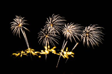 Kutlama için geceleri üzerinde siyah gökyüzü güzel renk havai fişek