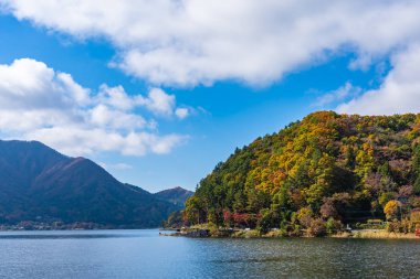 Sonbahar sesaon Yamanashi Japonya Gölü kawaguchiko etrafında güzel peyzaj