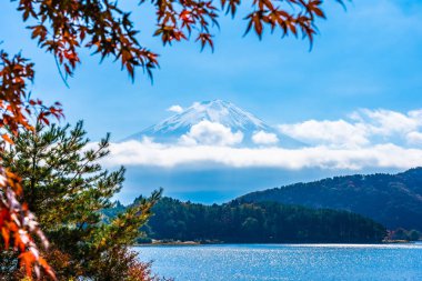 Dağ fuji akçaağaç yaprağı ağaç göl sonbahar sezonu ile güzel manzara